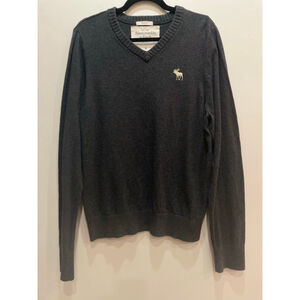 Abercrombie & Fitch Sweater Mens XL V Neck Muscle Fit Pullover Moose Logo Y2K